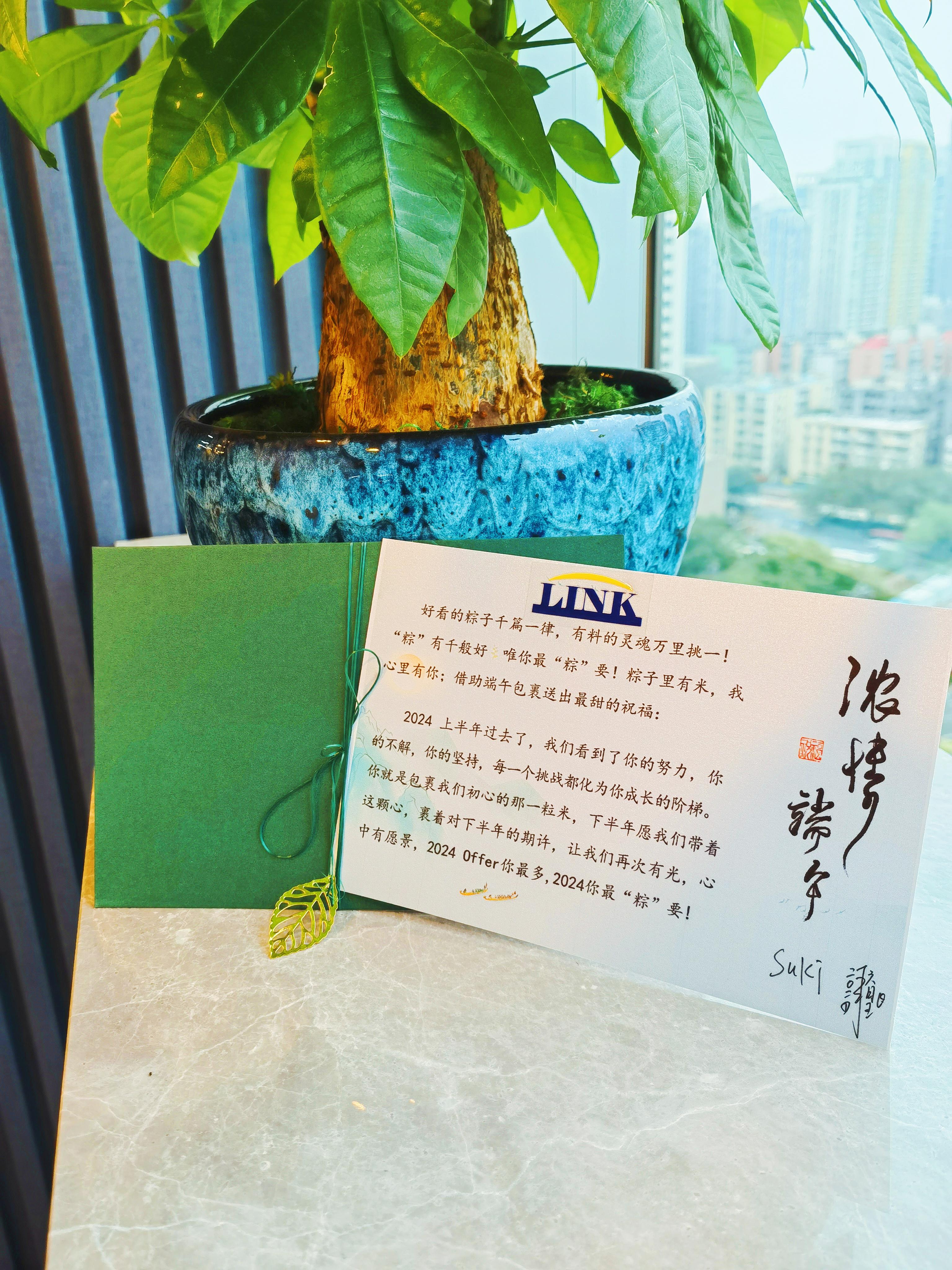 2024你最“粽”要